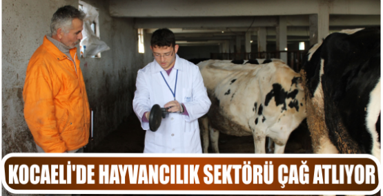 KOCAELİ’DE HAYVANCILIK SEKTÖRÜ ÇAĞ ATLIYOR