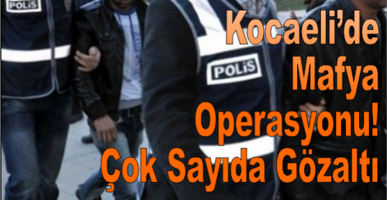 Kocaeli’de Mafya Operasyonu! Çok Sayıda Gözaltı