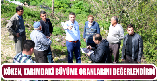 KÖKEN, TARIMDAKİ BÜYÜME ORANLARINI DEĞERLENDİRDİ