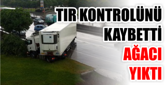 Kontrolünü kaybeden TIR ağacı yıkarak durabildi