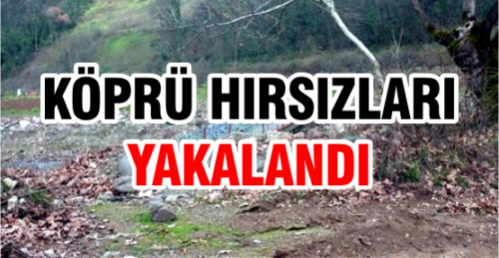 Köprü Hırsızları Yakalandı