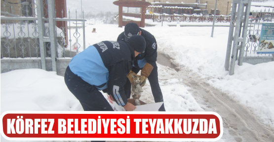 KÖRFEZ BELEDİYESİ TEYAKKUZDA