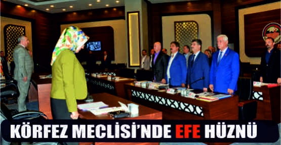  KÖRFEZ MECLİSİ'NDE EFE HÜZNÜ