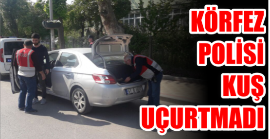 Körfez polisi kuş uçurtmadı