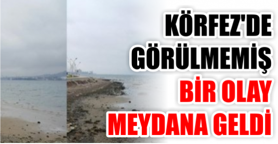 Körfez’de görülmemiş bir olay meydana geldi!