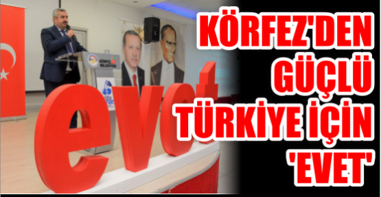 Körfez’den güçlü Türkiye için 'evet'