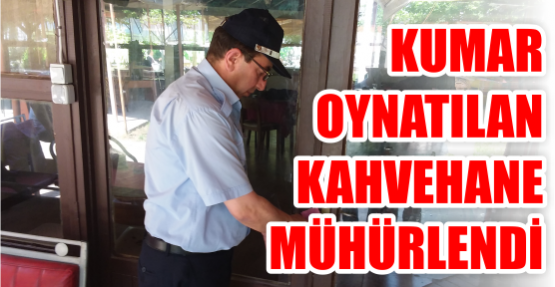    KUMAR OYNATILAN KAHVEHANEYE MÜHÜR