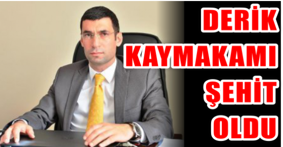 Mardin Derik Kaymakamı Muhammed Fatih Safitürk şehit oldu