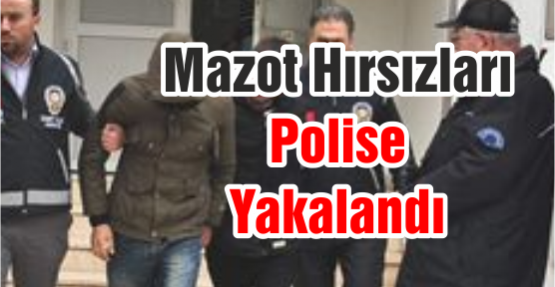 Mazot Hırsızları Polise Yakalandı
