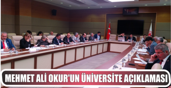 Mehmet Ali Okur'un Üniversite Açıklaması