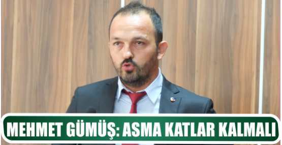 MEHMET GÜMÜŞ: ASMA KATLAR KALMALI