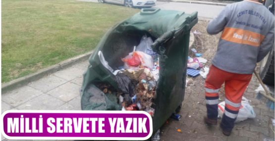 MİLLİ SERVETE YAZIK 