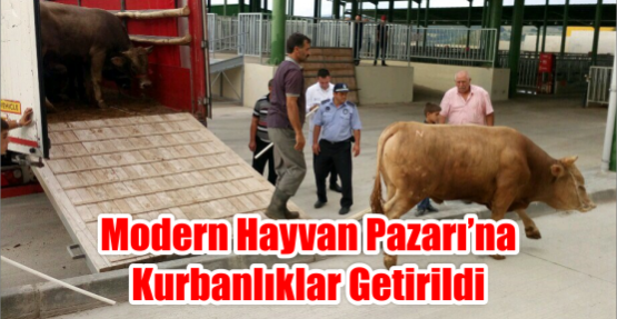 MODERN HAYVAN PAZARI’NA KURBANLIKLAR GETİRİLDİ