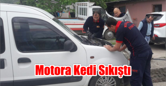 Motora Kedi Sıkıştı