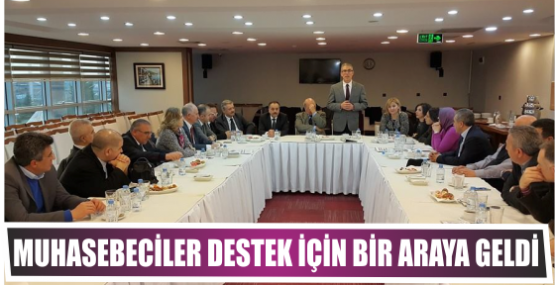 Muhasebeciler destek için Bir araya geldi
