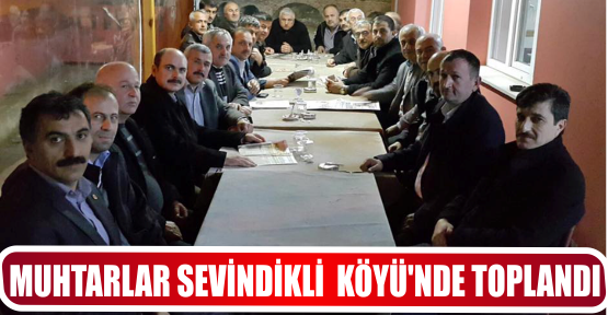 MUHTARLAR SEVİNDİKLİ  KÖYÜ’NDE TOPLANDI