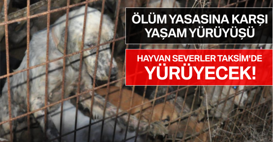 Ölüm Yasasına Karşı Yaşam Yürüyüşü