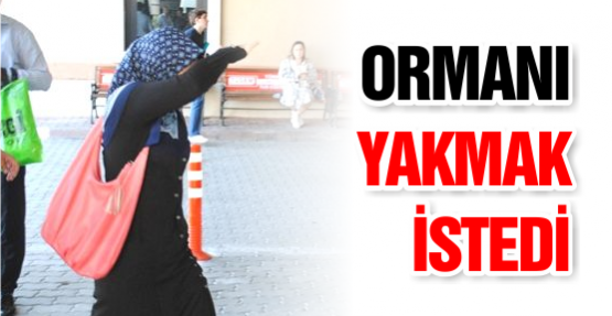 ORMANI YAKMAK İSTEDİ