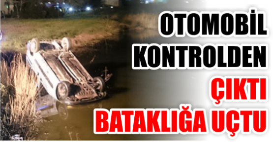Otomobil bataklığa uçtu