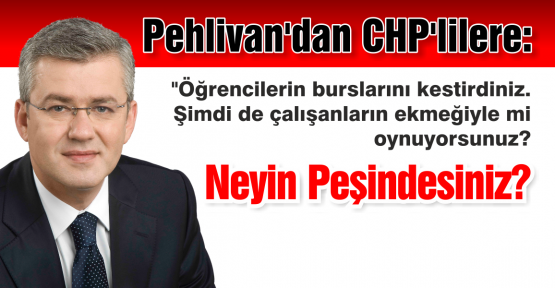PEHLİVAN : SİZ NEYİN PEŞİNDESİNİZ?