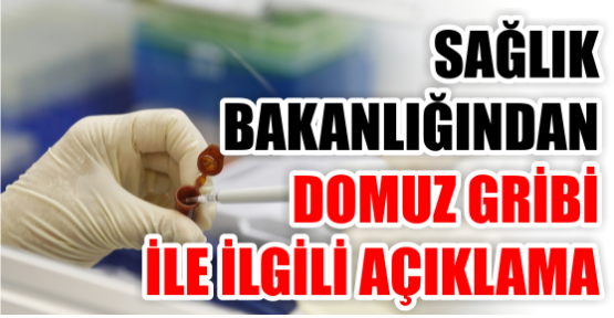 Sağlık Bakanlığından domuz gribi ile ilgili açıklama