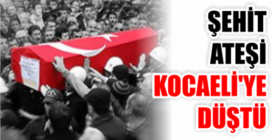 ŞEHİT ATEŞİ KOCAELİ'YE DÜŞTÜ
