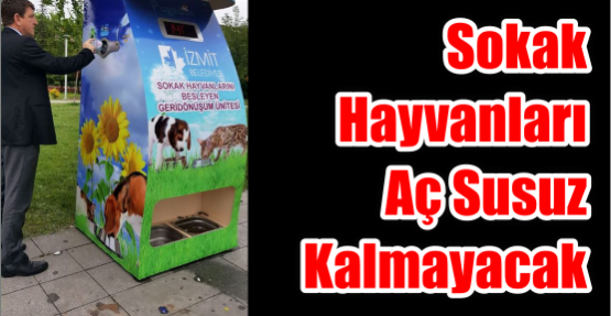 SOKAK HAYVANLARI AÇ SUSUZ KALMAYACAK