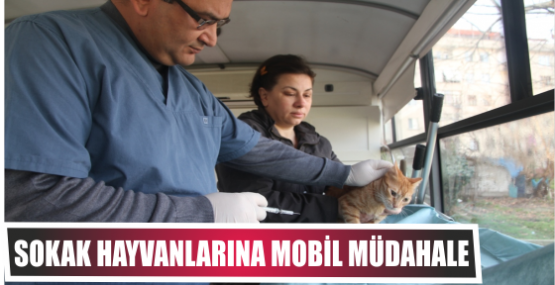 Sokak hayvanlarına mobil müdahale