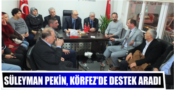 Süleyman Pekin, Körfez’de Destek  Aradı