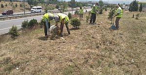 Gebze’de D-100 ve Otoyol Kenarlarında Temizlik Yapıldı