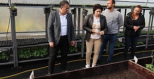 DERİNCE BELEDİYESİ KENDİ SERASINI...