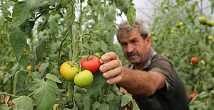 Büyükşehirden Yüzde 50 Hibeli...