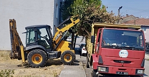 Bitkisel Atıklar Doğaya Geri Kazandırılıyor