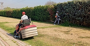 Körfezde Yeşil Alanlara Özenli...