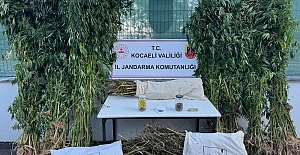 12 Kilo Esrar ve 583 Kök Kenevir Ele Geçirildi