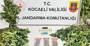 KOCAELİ'DE UYUŞTURUCU OPERASYONLARINDA...