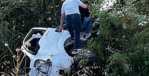 KONTROLDEN ÇIKAN KAMYONET AĞAÇLIK...