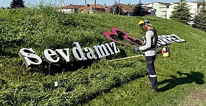 Körfez’in Yeşil Alanlarında Bakım ve Temizlik Çalışmaları