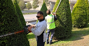 Büyükşehir, Daha Yeşil Kocaeli İçin Sahada