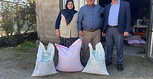 Kandıra Belediyesi Yerli Ata Tohumlarını Yaygınlaştırıyor