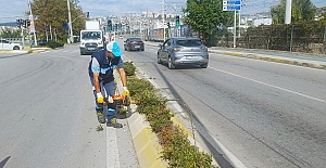 Salim Dervişoğlu Caddesi’nde Sonbahar Budaması