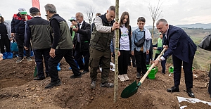 Karamürsel’de Yanan Bölge 3 Bin Fidanla Yeniden Yeşerecek