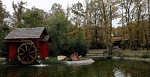 Sonbahar, Huzurun Adresi Ormanya’da Bir Başka