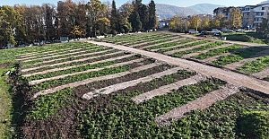 Büyükşehir’den Gölcük’e Yeni Mezarlık Alanları