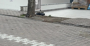 ÇÖPE ATMAK İÇİN YERDEN ALDIĞI KARGO POŞETİNİN İÇİNDEN 60 BİN DOLAR ÇIKTI