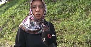 Derince#039;de Başıboş Köpek Tepkisi:...