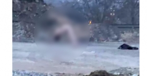 Köprü Altında Akıllara Durgunluk Veren Görüntüler