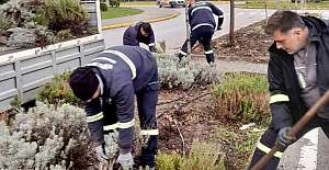 Körfez Kışa Çiçeklerle Hazırlanıyor