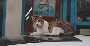 Sokaklardan "Vardiya" Usulü Market Önüne