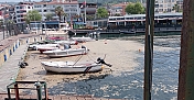 KARAMÜRSEL SAHİLİ MÜSİLAJLA KAPLANDI